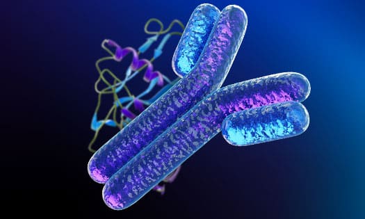 Y-shaped antibody surrounded by a protein ribbon structure
