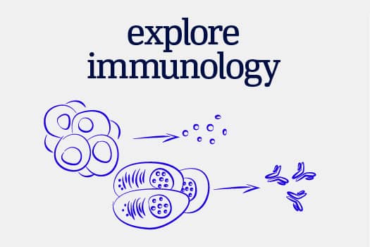illustration icon for immunology
