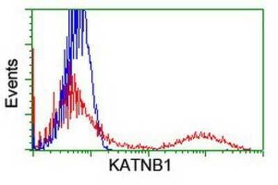 Flow Cytometry: katanin-p80 Antibody (OTI5C4) - Azide and BSA Free [NBP2-71578]