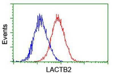 Flow Cytometry: lactamase, beta 2 Antibody (OTI2F9) [NBP2-00509]