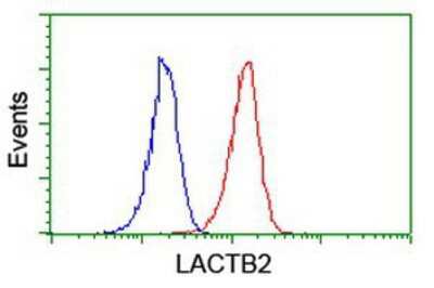 Flow Cytometry: lactamase, beta 2 Antibody (OTI2F9) [NBP2-00509]