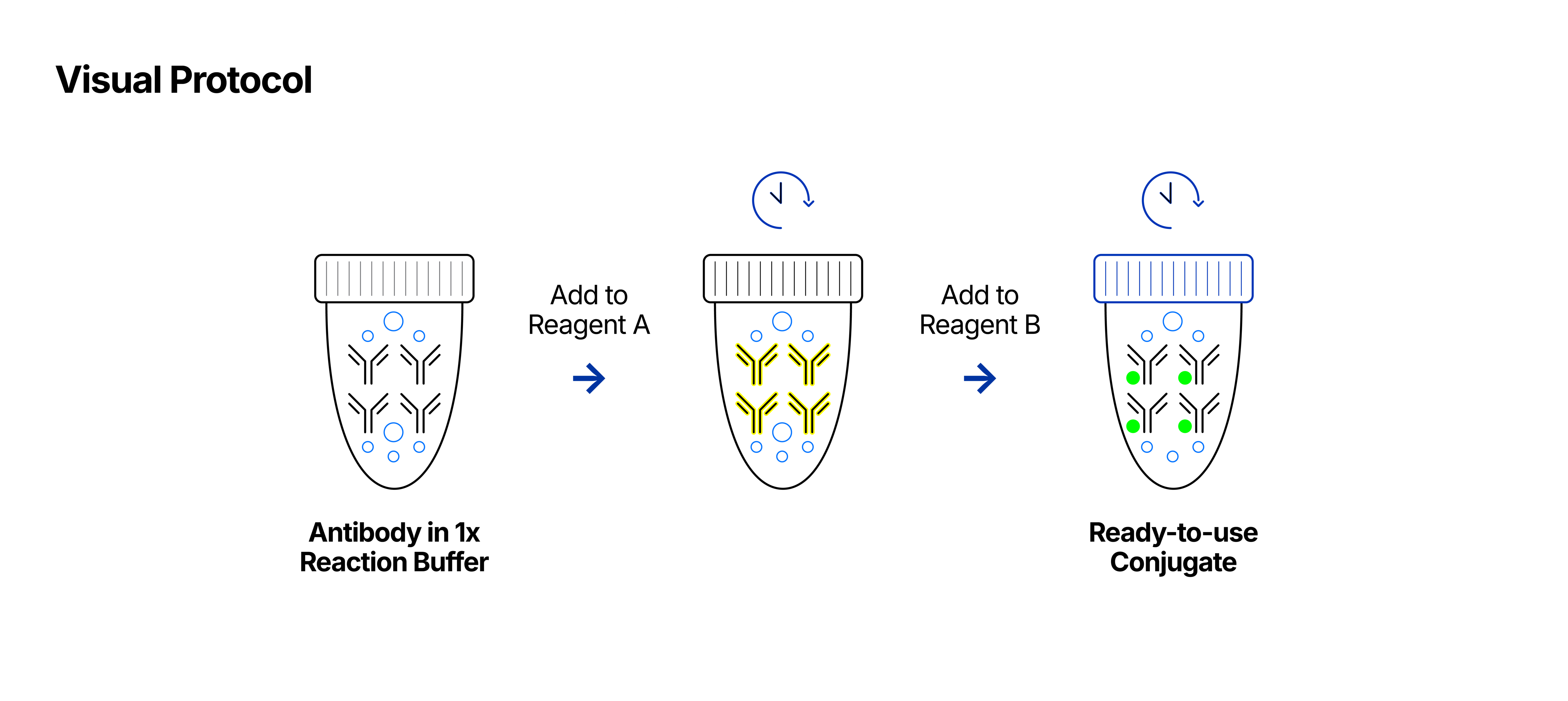 Visual Representation of LinkAble™ Conjugation Kit Protocol