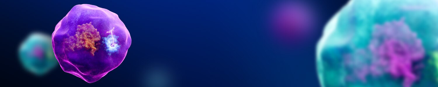 early adopter program hero banner