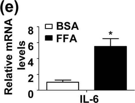 Detection of Mouse IL-6