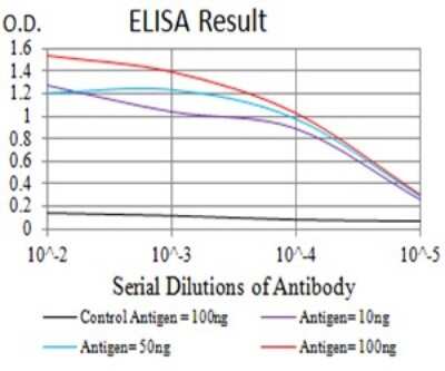 ELISA: mGluR1 Antibody (5E12D8) - BSA Free [NBP2-61827]