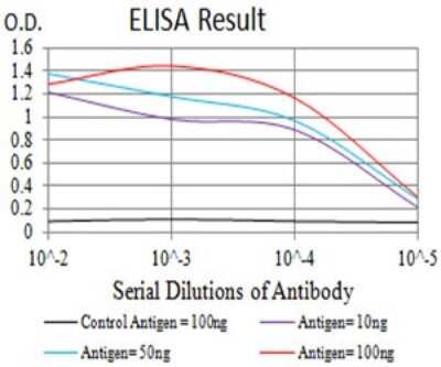 ELISA: mGluR2 Antibody (4A10B9) - BSA Free [NBP2-61833]