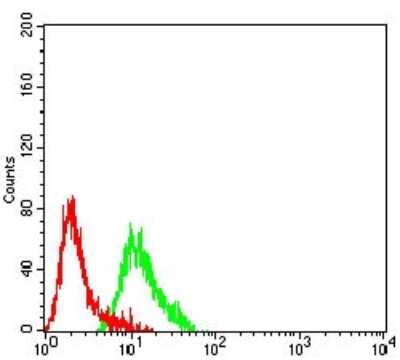 ELISA: mGluR2 Antibody (4A10B9) - BSA Free [NBP2-61833]