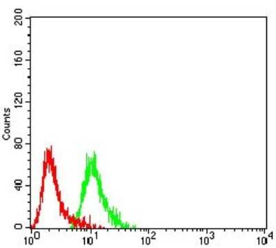 ELISA: mGluR2 Antibody (6E4F6) - BSA Free [NBP2-61834]