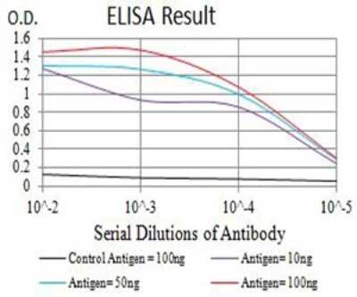 ELISA: mGluR5 Antibody (1A11D10) - BSA Free [NBP2-61828]