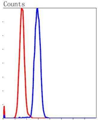 Flow Cytometry: mGluR5 Antibody (ST51-00) [NBP3-11866]