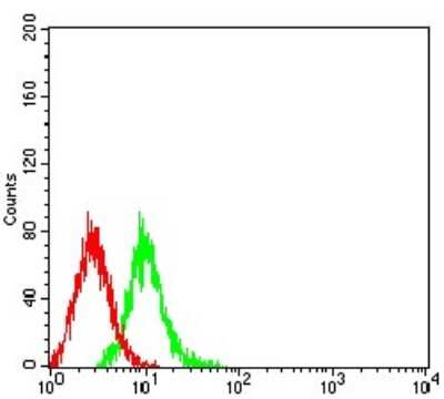 ELISA: mGluR6 Antibody (7D9C9) - BSA Free [NBP2-61850]