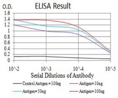 ELISA: mGluR7 Antibody (7G8D3) - BSA Free [NBP2-61856]