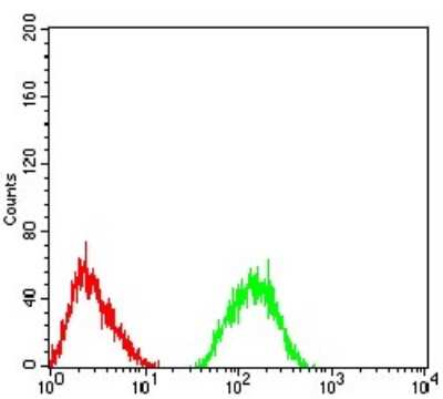 ELISA: mGluR7 Antibody (7G8D3) - BSA Free [NBP2-61856]