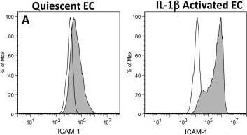 Detection of Human IgG1 by Flow Cytometry
