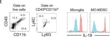 Detection of IL-19 by Flow Cytometry