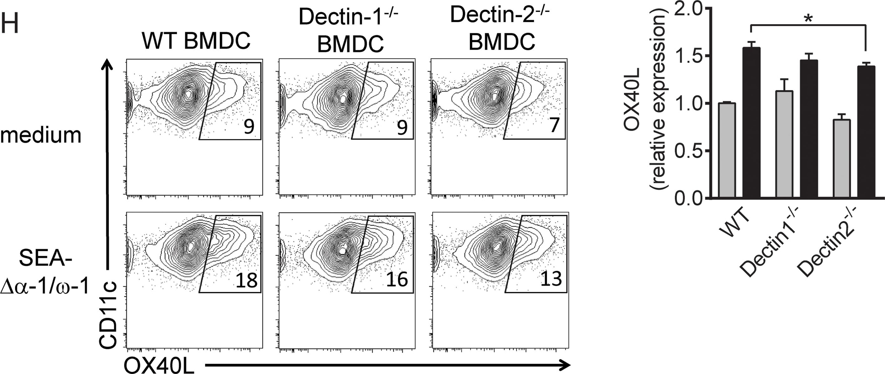 Detection of Mouse OX40 Ligand/TNFSF4 by Flow Cytometry