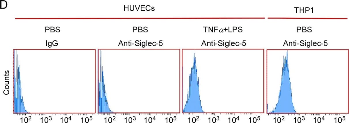 Detection of Siglec-5/Siglec-14 by Flow Cytometry