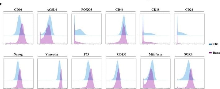 Detection of CD133 by Flow Cytometry