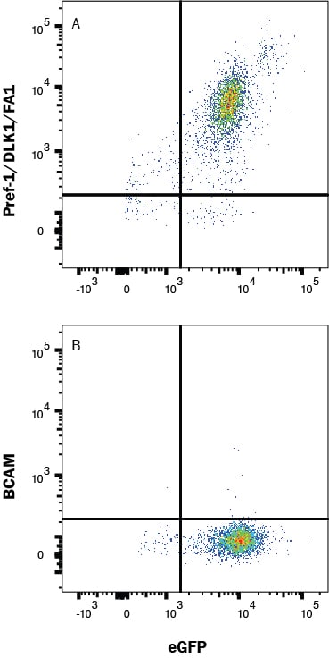 Human Pref‑1/DLK1/FA1 Antibody