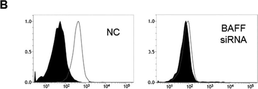 Detection of BAFF/BLyS/TNFSF13B by Flow Cytometry
