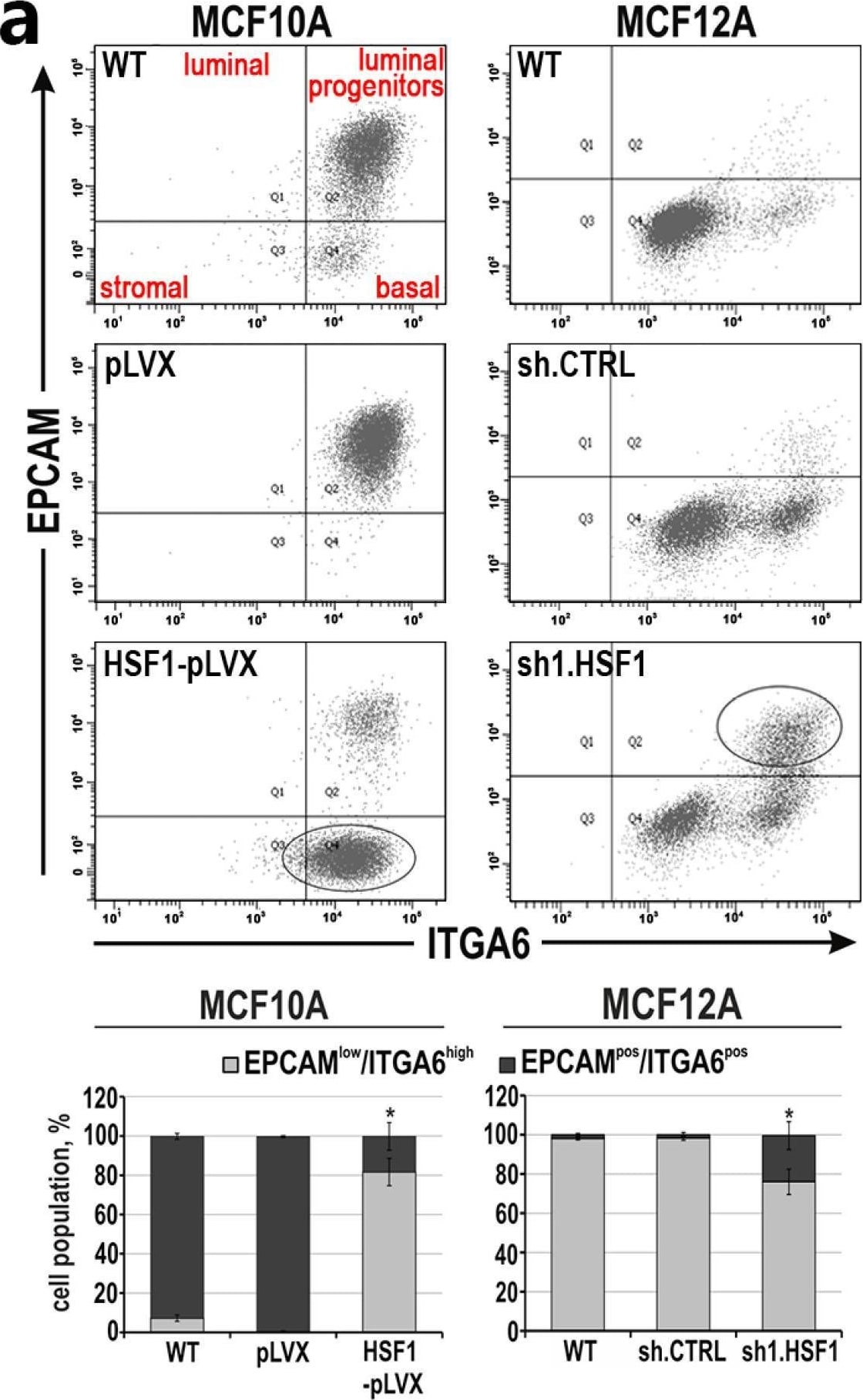 Detection of h0b3jom1ydnycg1hftz3.jpg by Flow Cytometry