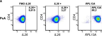Detection of IL-26/AK155 by Flow Cytometry