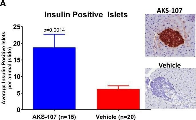 Detection of Insulin by Immunohistochemistry
