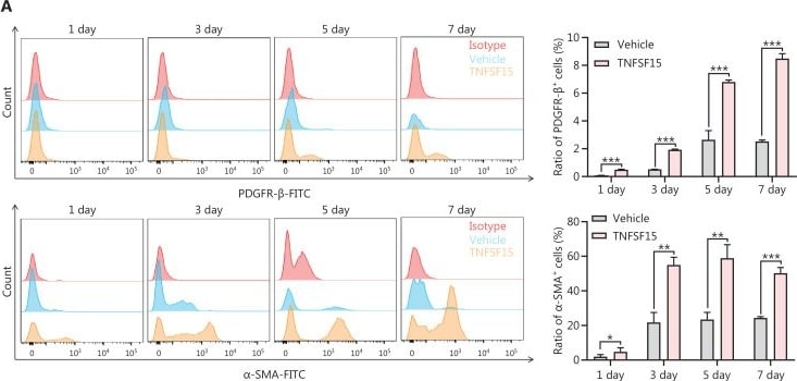 Detection of alpha-Smooth Muscle Actin by Flow Cytometry