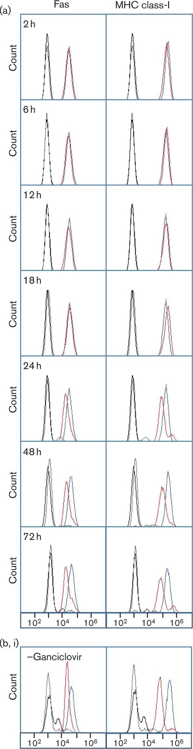 Detection of Fas/TNFRSF6/CD95 by Flow Cytometry