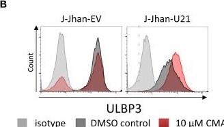 Detection of ULBP-3 by Flow Cytometry