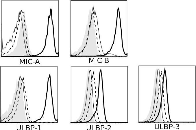 Detection of Human MICB by Flow Cytometry