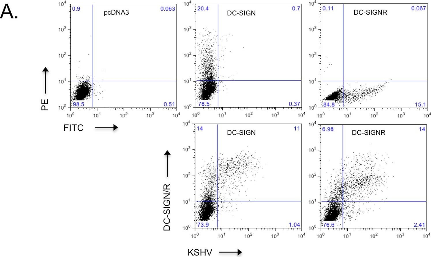 Detection of Human DC-SIGN/CD209 by Flow Cytometry