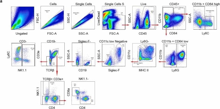 Detection of Siglec-F by Flow Cytometry