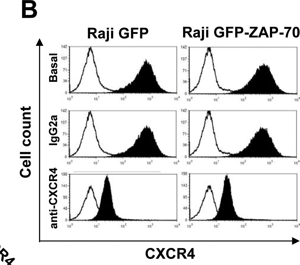 Detection of Mouse CXCR4 by Flow Cytometry