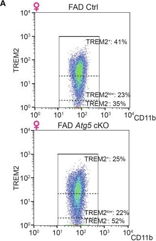Detection of TREM2 by Flow Cytometry