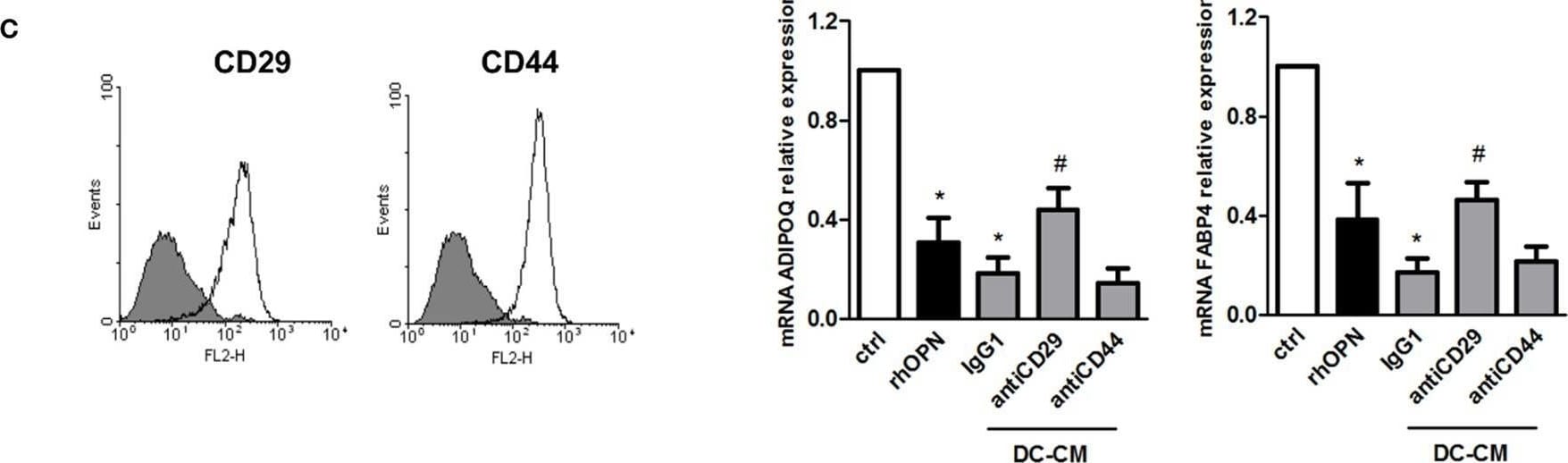 Detection of Integrin  beta 1/CD29 by Flow Cytometry