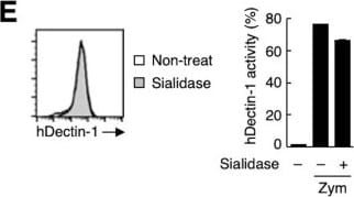 Detection of Dectin-1/CLEC7A by Flow Cytometry