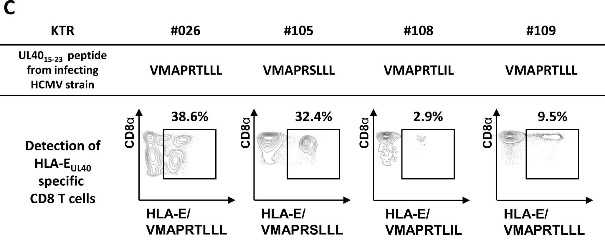 Detection of Human CCR7 by Flow Cytometry