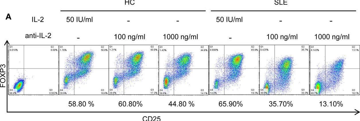 Detection of Human IL-2 by Flow Cytometry
