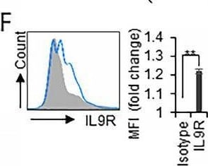 Detection of IL-9R by Flow Cytometry