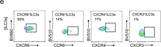 Detection of CXCR6 by Flow Cytometry