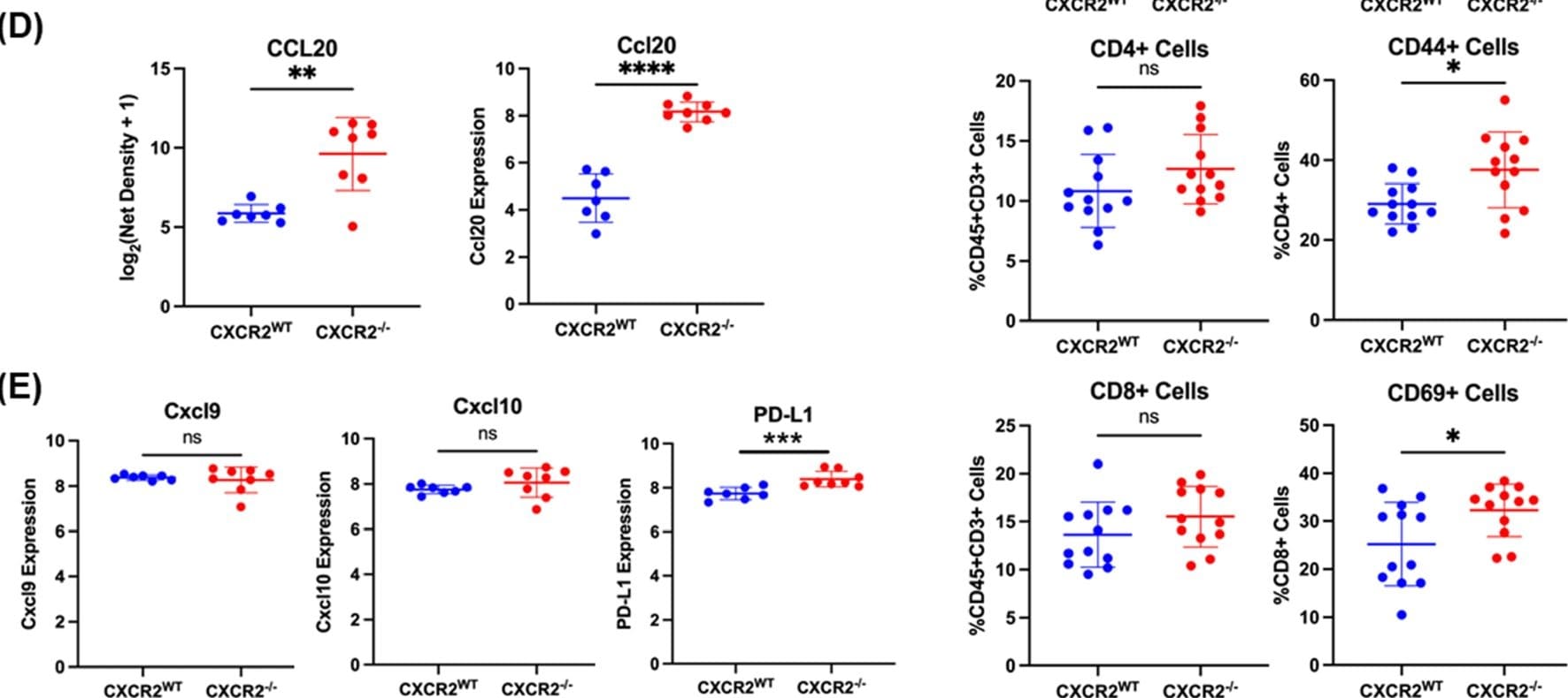 Detection of CXCR2/IL-8RB by Flow Cytometry