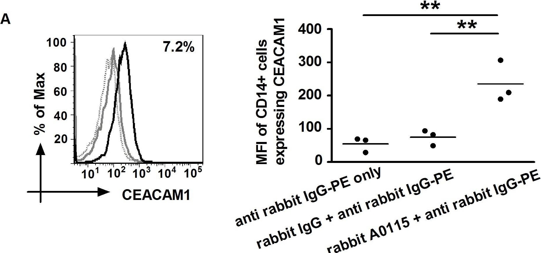 Detection of CEACAM-1/CD66a by Flow Cytometry