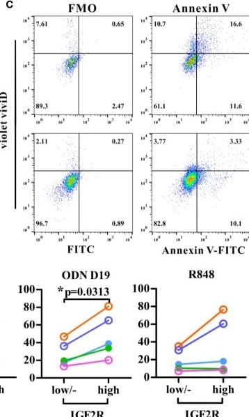 Detection of IGF-II R/IGF2R by Flow Cytometry