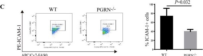 Detection of Progranulin by Flow Cytometry
