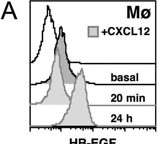 Detection of HB-EGF by Flow Cytometry