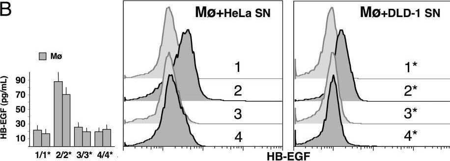 Detection of HB-EGF by Flow Cytometry