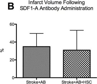 Detection of Mouse CXCL12/SDF-1 by In vivo assay