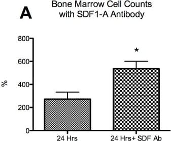 Detection of Mouse CXCL12/SDF-1 by In vivo assay
