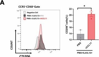 Detection of CCL11/Eotaxin by Flow Cytometry